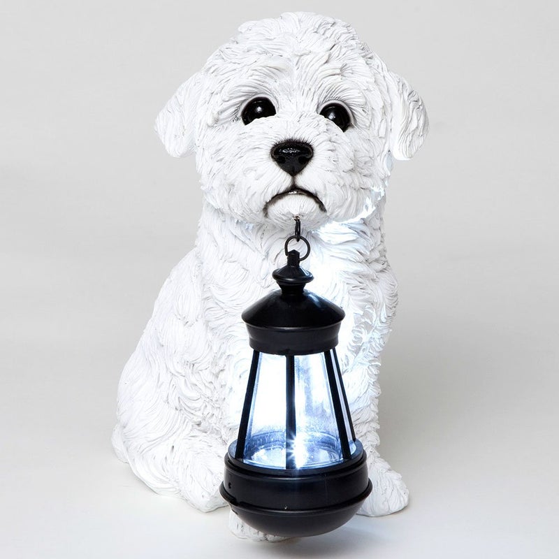 Bits and Pieces - Dog Solar Lantern Statue - Solar Powered Garden Lantern - Resin Dog Sculpture with LED Light - Outdoor Lighting and DÃ©cor (Bichon) - Image 1